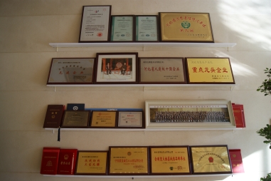 弘揚傳統(tǒng)文化--五棵松一直在路上