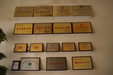 弘揚傳統(tǒng)文化--五棵松一直在路上