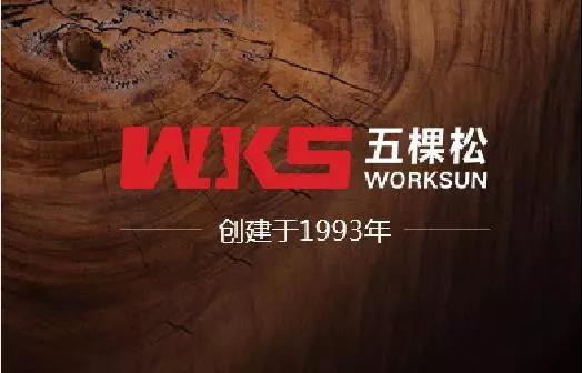 五棵松集團助力滄州新地標---京貴大廈